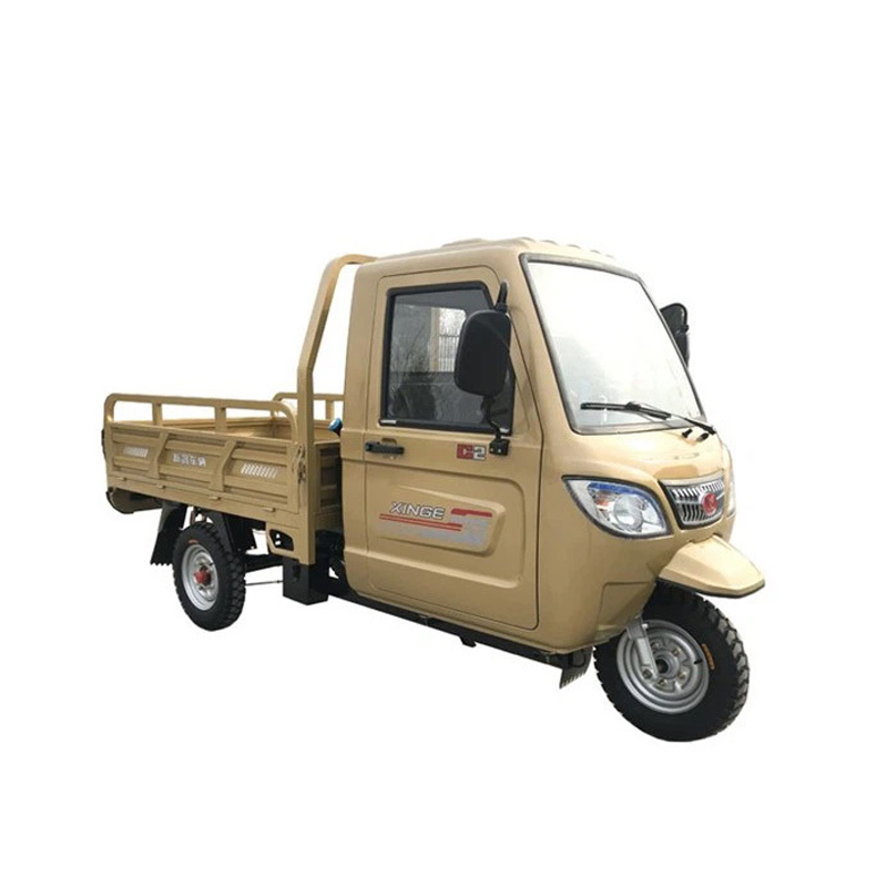 250CC trang trại sử dụng nặng tải xăng xe ba bánh xe