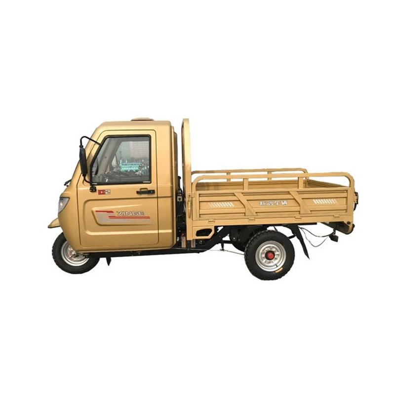 250CC trang trại sử dụng nặng tải xăng xe ba bánh xe