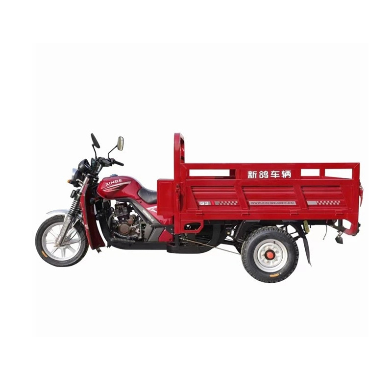 Xe đạp Xe đạp Xe đạp Xe đạp Xe đạp Xe đạp Xe đạp Xe đạp Xe đạp Xe đạp Xe đạp Xe đạp Xe đạp Xe đạp